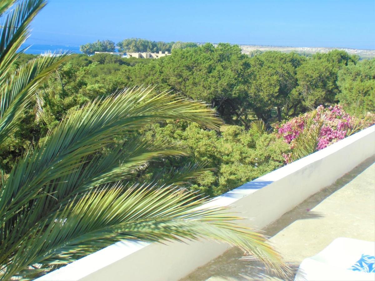 סידי קאוקי Hotel Villa Soleil מראה חיצוני תמונה