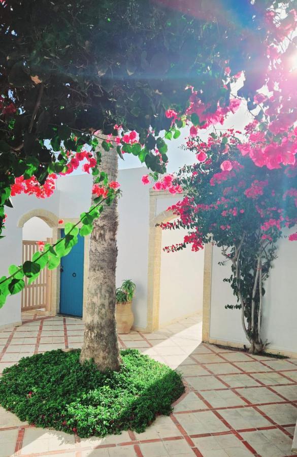 סידי קאוקי Hotel Villa Soleil מראה חיצוני תמונה