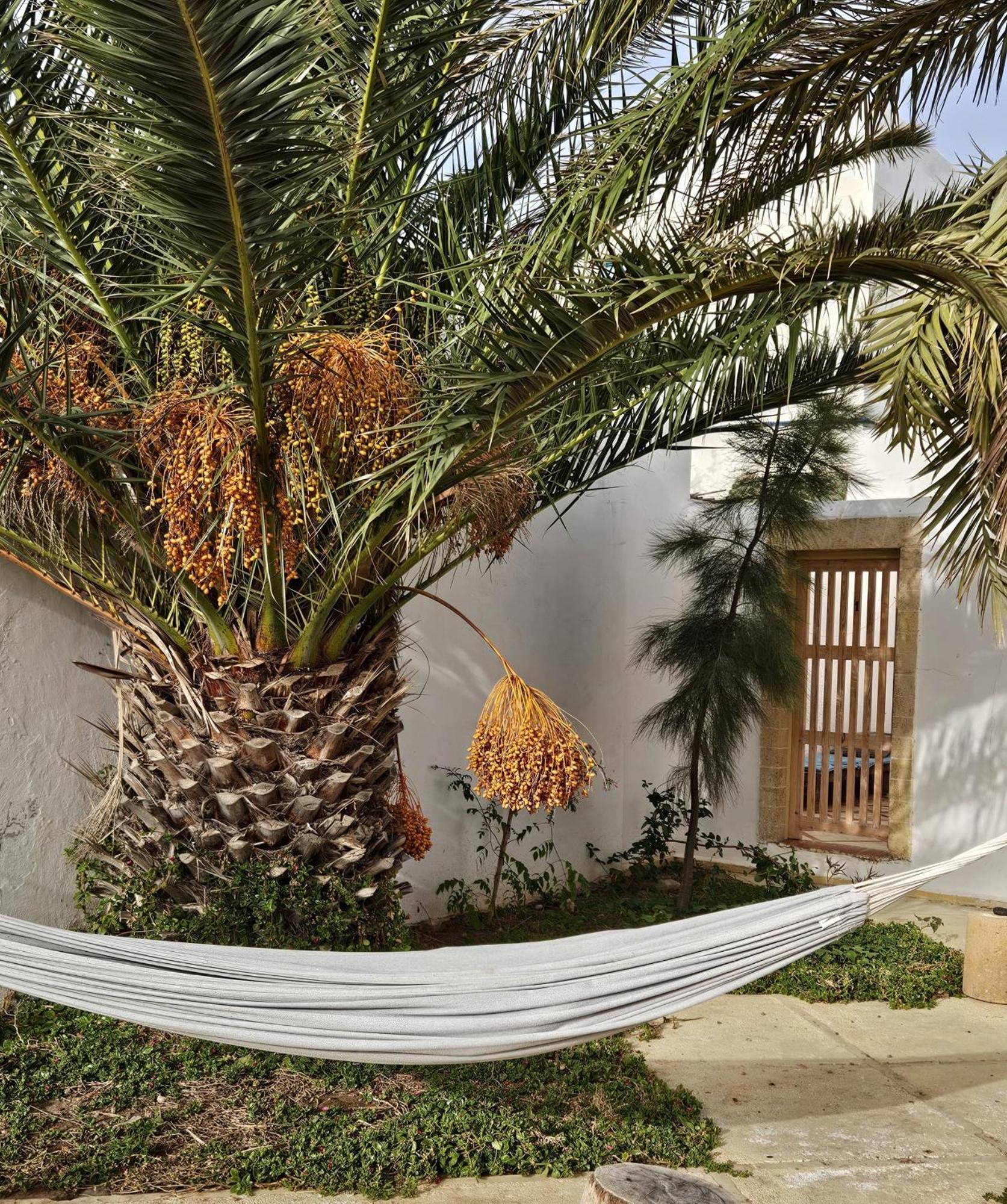 סידי קאוקי Hotel Villa Soleil מראה חיצוני תמונה