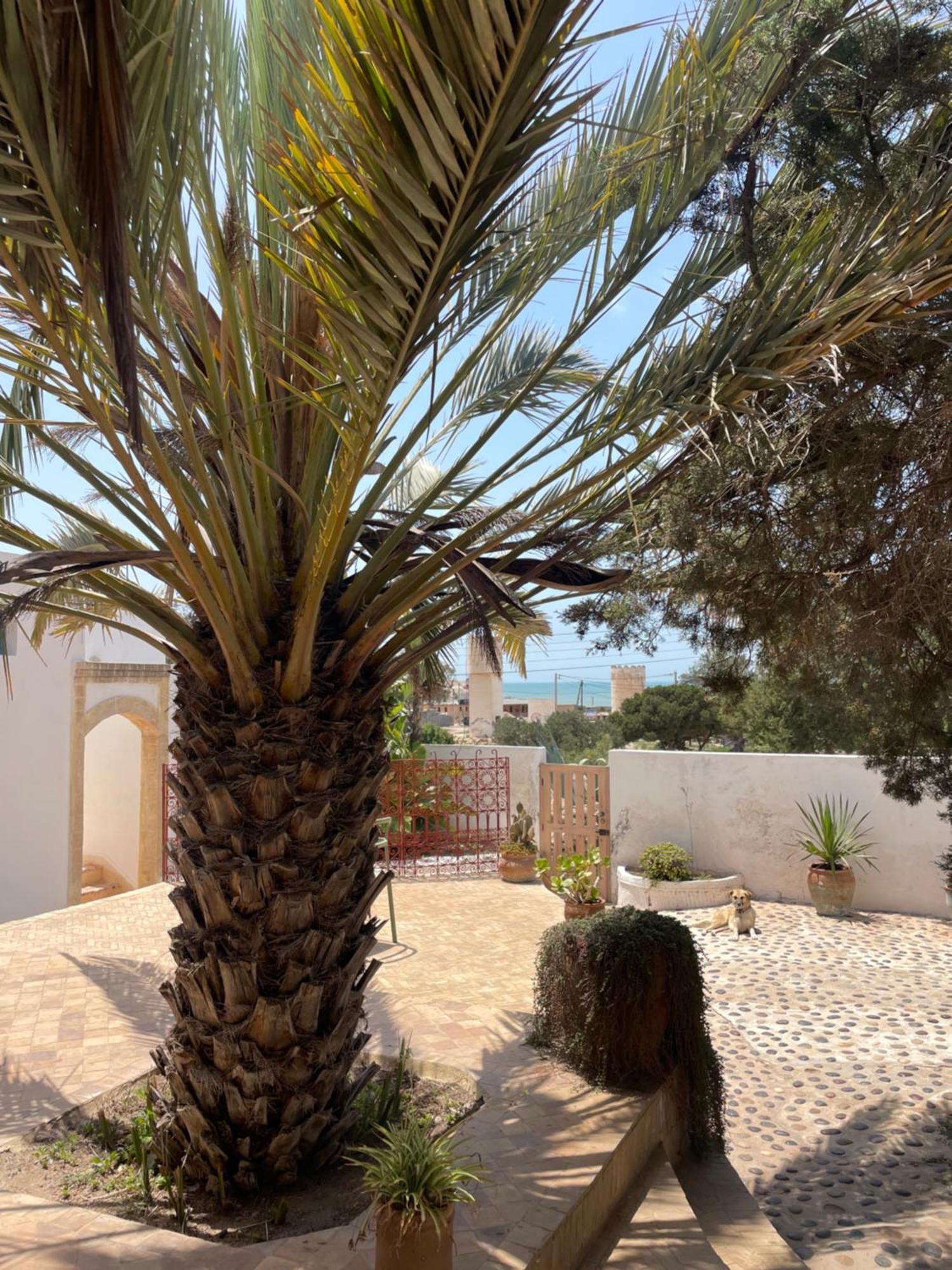 סידי קאוקי Hotel Villa Soleil מראה חיצוני תמונה